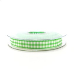 Large ichy Ribbon - Width 10 mm - Color Green Apple